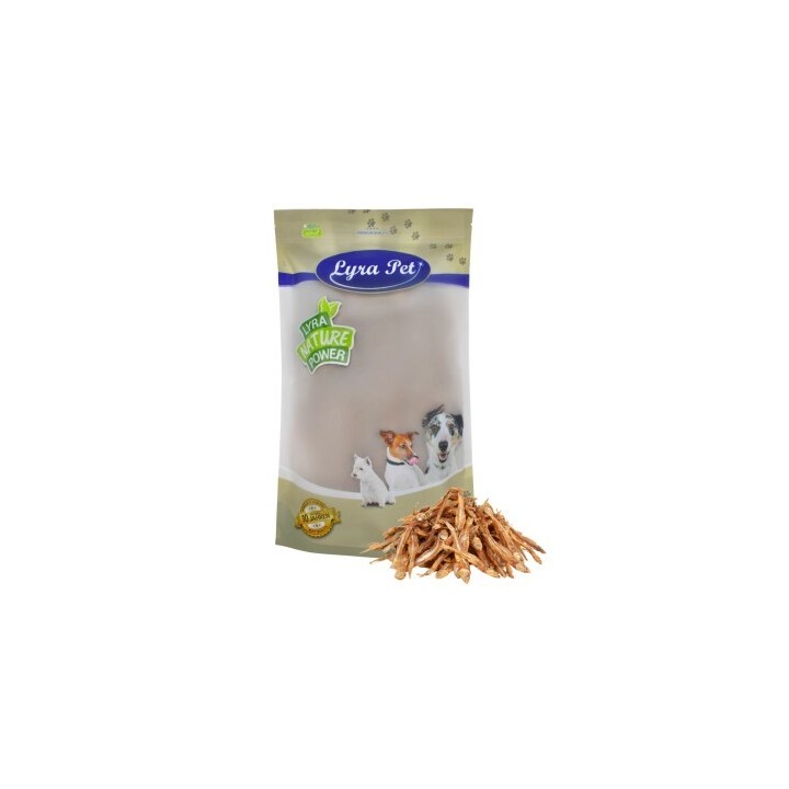 Lyra Pet Kleine Fische 1 kg