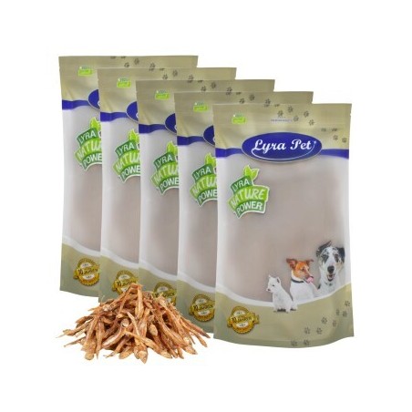 Lyra Pet Kleine Fische 5 kg
