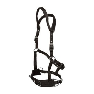 GOLDHORSE Kappzaum Basic schwarz WB (Warmblut)