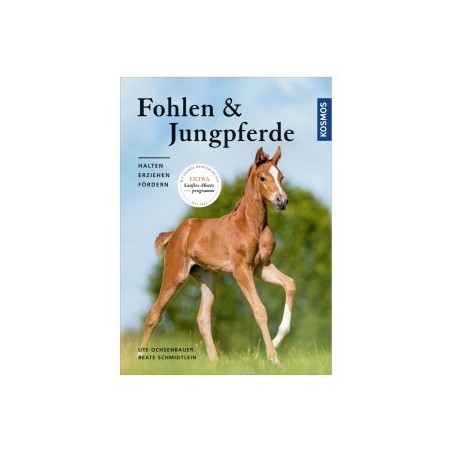 Kosmos Fohlen und Jungpferde