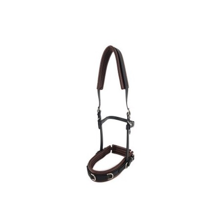 Equimero Equizaum schwarz Pony