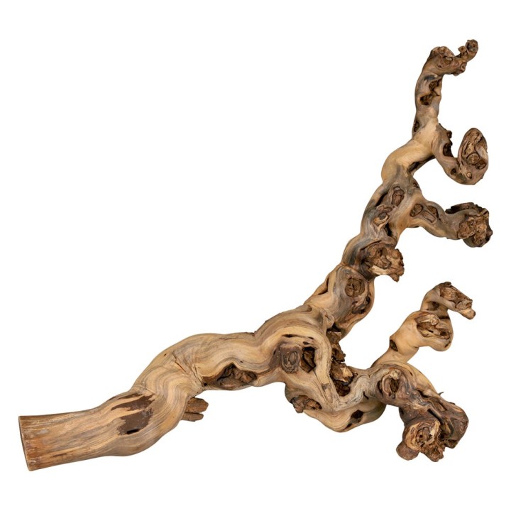 Trixie sandgestrahlte Weinreben - 40 - 60 cm