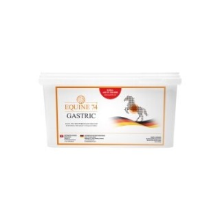 Equine 74 Ergänzungsfutter Gastric Pelle 6 kg