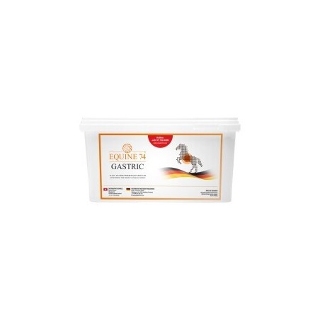 Equine 74 Ergänzungsfutter Gastric Pelle 6 kg