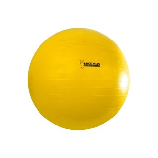 Maximus Gymnastikball
