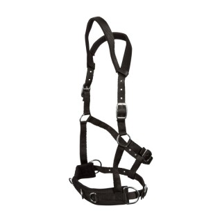 GOLDHORSE Kappzaum Basic schwarz WB (Warmblut)