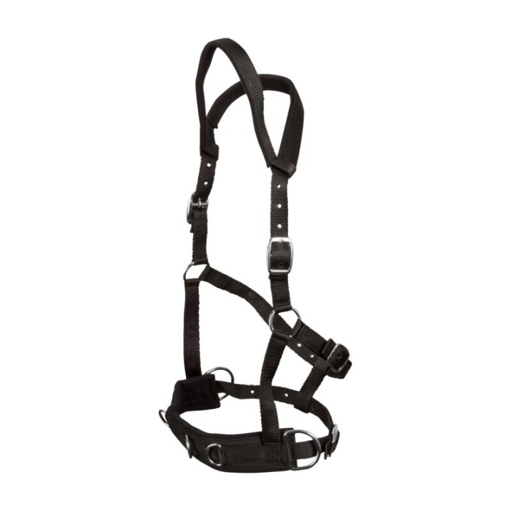 GOLDHORSE Kappzaum Basic schwarz WB (Warmblut)