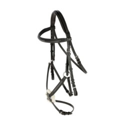 Covalliero Trense Cancun VB/ COB (Vollblut)