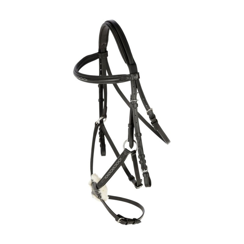 Covalliero Trense Cancun VB/ COB (Vollblut)