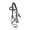Covalliero Trense Cancun VB/ COB (Vollblut)