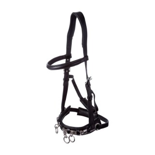 4Horses Kappzaum Excellence WB (Warmblut)