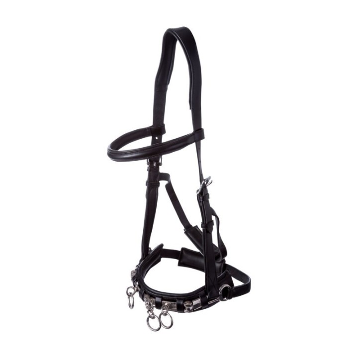 4Horses Kappzaum Excellence WB (Warmblut)