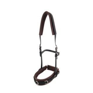 Equimero Equizaum schwarz Pony