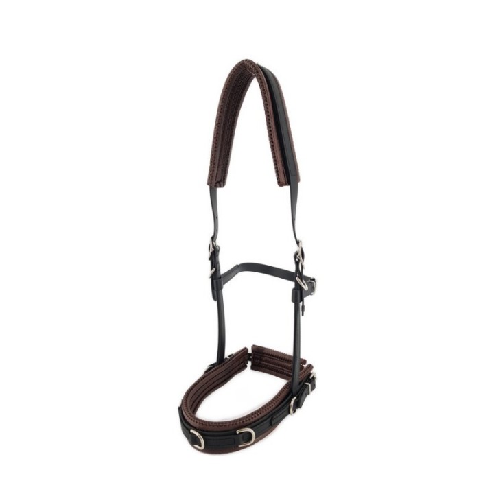 Equimero Equizaum schwarz Pony