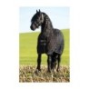 Rambo Stalldecke Stable 100 g 1,25 m
