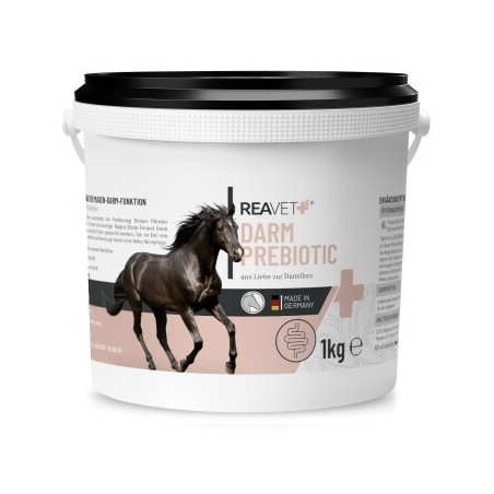 REAVET Darm Prebiotic 1 kg