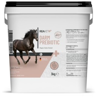 REAVET Darm Prebiotic 3 kg