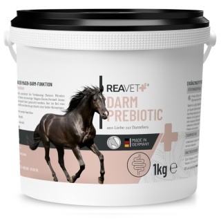 REAVET Darm Prebiotic 1 kg