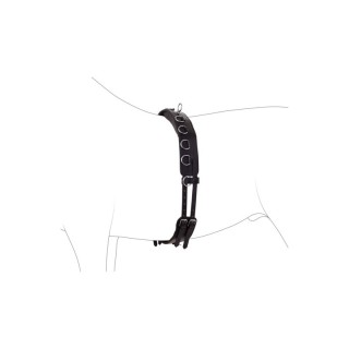 4Horses Longiergurt Leder