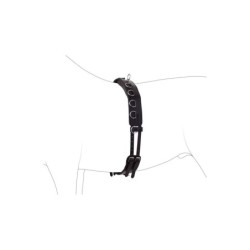 4Horses Longiergurt Leder