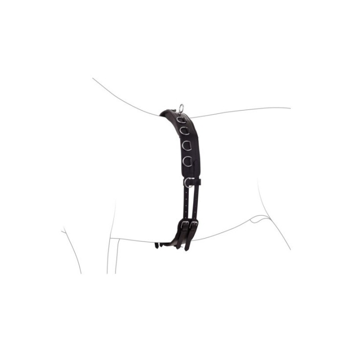 4Horses Longiergurt Leder