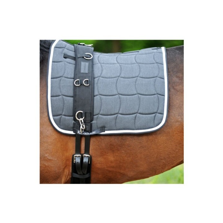 Kavalkade Longiergurt mit Pauschen