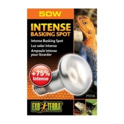 Exo Terra Intense Basking Spot 50 W