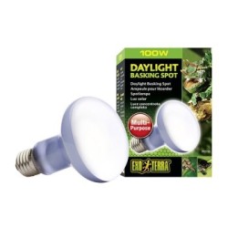 Exo Terra ExoTerra Daylight Basking Spot 100 W