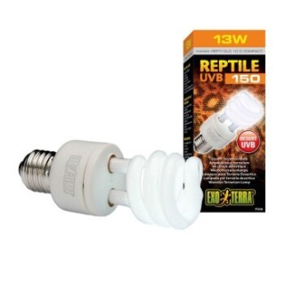Exo Terra Reptil 10.0 Wüstenlampe E27 13 W