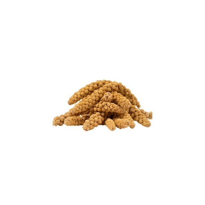 Lyra Pet Kolbenhirse gelb 10 kg