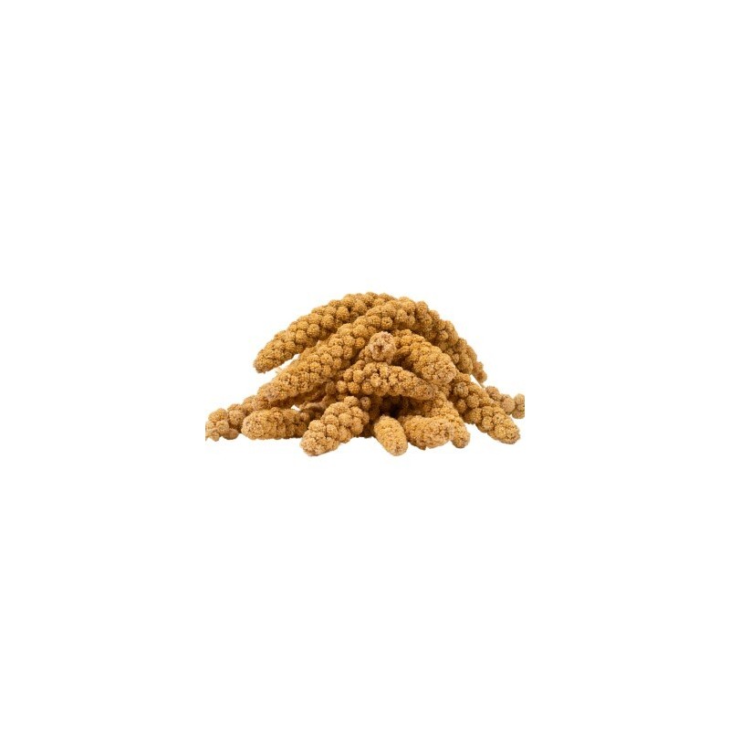 Lyra Pet Kolbenhirse gelb 15 kg