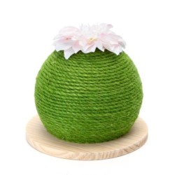 nobleza - Kaktus Kratzball - Kratzbaum