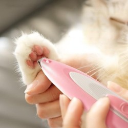 Katze Fuß Rasierer Hund Haar Rasierer Haustier Elektrische Haar Trimmer Fuß Pediküre Werkzeug Haustiere Fuß Pflege Kit blau
