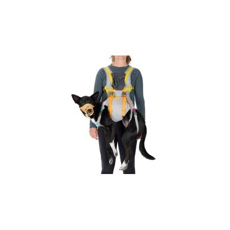 Ruffwear BackTrak™ Evakuierungsset für Hunde S