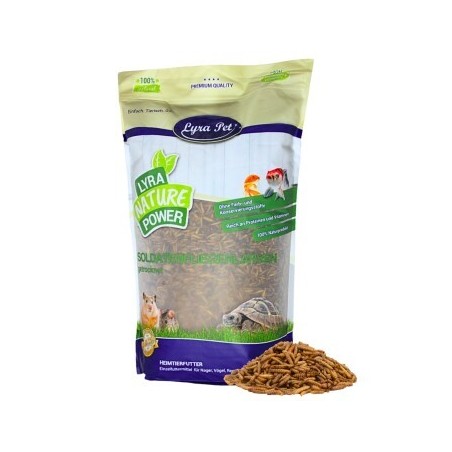 Lyra Pet Soldatenfliegenlarven 10 kg