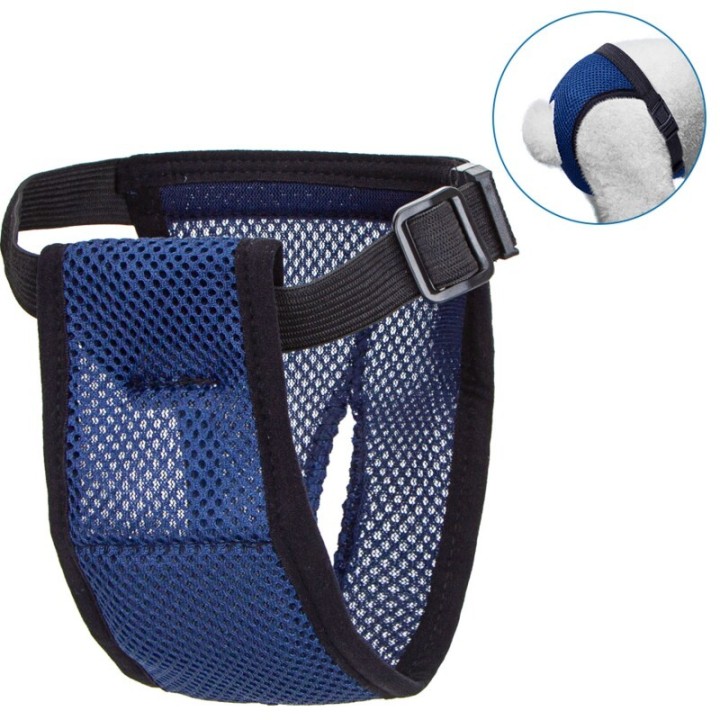 nobleza - Hygienehose für Hunde S