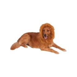 Bristol Neuheit Löwenmähnen-Hundekostüm One Size braun