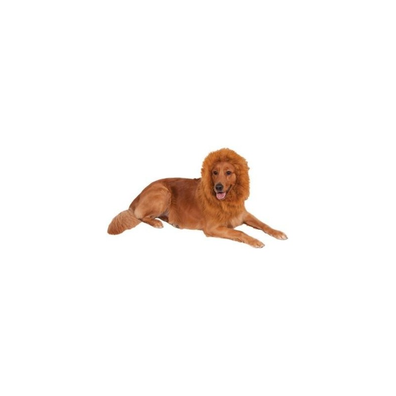 Bristol Neuheit Löwenmähnen-Hundekostüm One Size braun