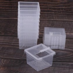10 Stück Brutkästen für Insekten, Reptilien, Spinnen, Terrarien, Brutbehälter 6.5x6.5x4.4cm reinfarbig