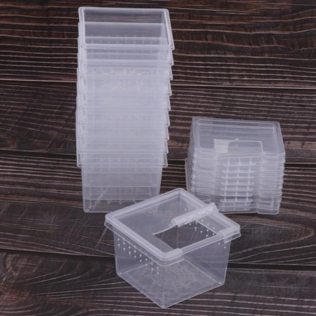 10 Stück Brutkästen für Insekten, Reptilien, Spinnen, Terrarien, Brutbehälter 6.5x6.5x4.4cm reinfarbig