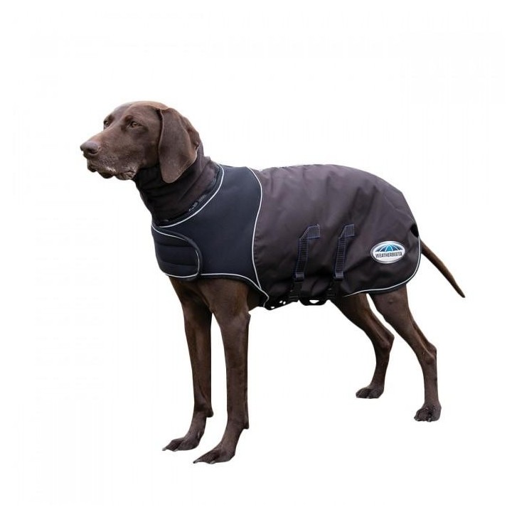 Weatherbeeta Comfitec Ultra Cozi Mittelleichter Hundemantel 25cm blau/kohle