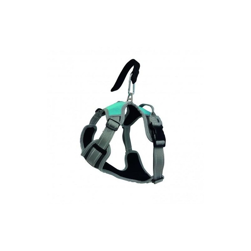 Henry Wag Reise-Hundegeschirr Large grau/blau