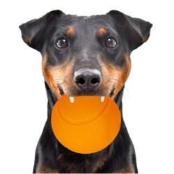 Happypet Glow Balls - Quietschball