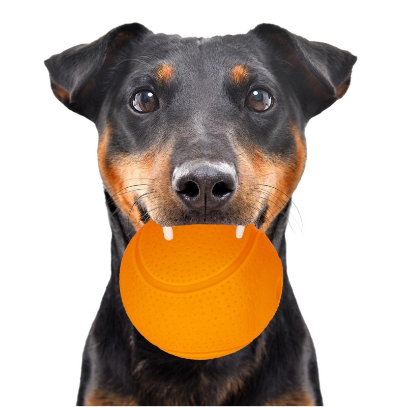 Happypet Glow Balls - Quietschball