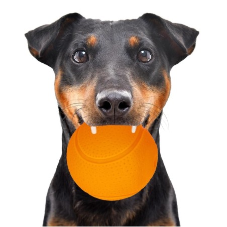 Happypet Glow Balls - Quietschball