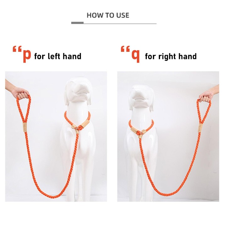 Hundeleine, Schlupfseil, geflochtenes Seil, 1,7 m, robuste, zugfreie Trainingsleine für kleine, mittelgroße und große Hunde 1