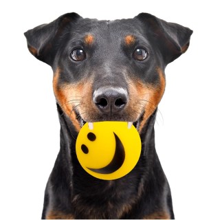 Happypet Smiley Ball