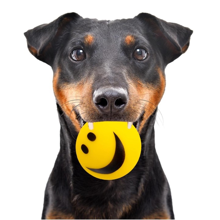 Happypet Smiley Ball