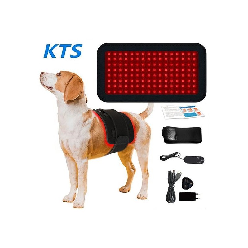 Tragbares Haustier-Hundebein-Physiotherapiegerät, Rotlichttherapie 660 nm, 850 nm schwarz