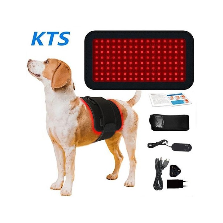 Tragbares Haustier-Hundebein-Physiotherapiegerät, Rotlichttherapie 660 nm, 850 nm schwarz